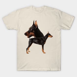 Dobermann - Doberman Pinscher T-Shirt